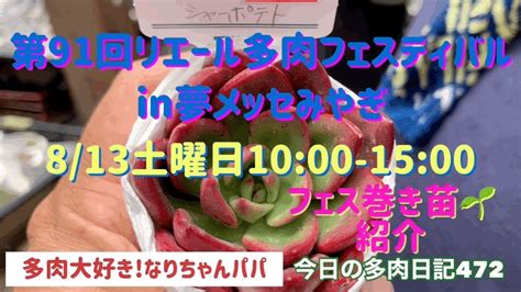 【多肉植物】【ガーデニング】【フェス苗】8月13日、第91回リエール多肉フェスティバル販売苗の紹介 多肉大好き！なりちゃんパパ 多肉奮闘記その