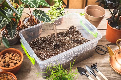 How To Make Potting Soil In 4 Steps Get It Right The First Time