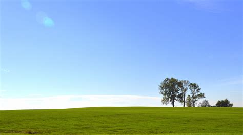 Free Images Landscape Tree Nature Horizon Sky Field Lawn