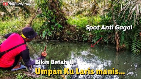 Mancing Wader Di Selokan Kecil Hasilnya Ugal Ugalan Youtube