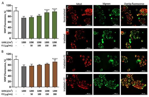 Mitochondrial Membrane Potential Mmp Restoration Exerted By