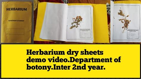 Herbarium Intermediate 2nd Year Record Botany Record Collection