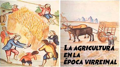 La agricultura en la época virreinal HISTORIA CUARTO GRADO YouTube