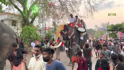 Thrikadavoor Sivaraju Ii Aanakazchakal Ii Kollam Pooram Ii Aashramam