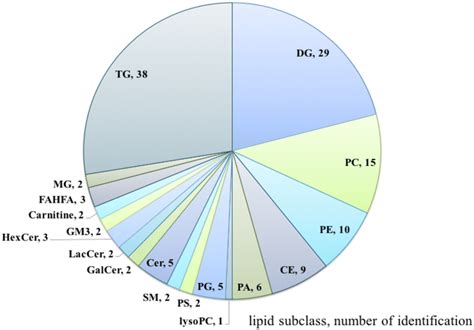 Plasma Lipidomic Identifications By Lipid Subclass There Are 18 Lipid Download Scientific