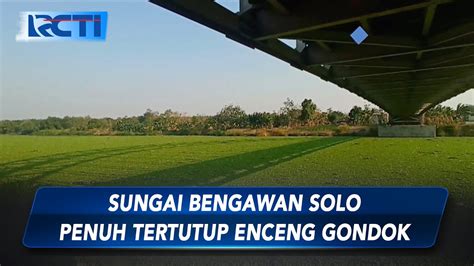 Waduh Sungai Bengawan Solo Penuh Tertutup Enceng Gondok Sepanjang 5 KM