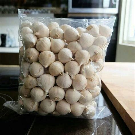 Bawang Lanang 1kg Harga Borong Bawang Putih Tunggal Shopee Malaysia