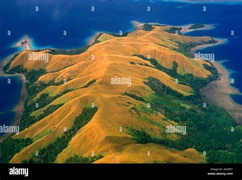 coral reef, coral reefs, Pacific Ocean, Vanua Levu Island, Fijian ...