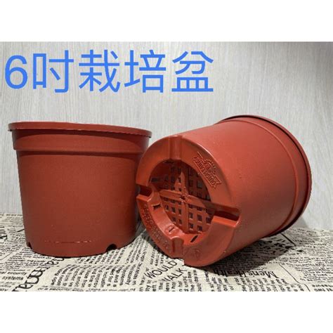 現貨【全館590超取免運】6寸18cm栽培盆 荷蘭盆 低矮盆 超取可28入【蒔花弄草】 蝦皮購物