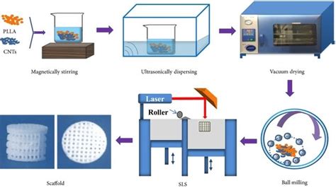 Schematic Of The Scaffold Preparation Process Download Scientific Diagram