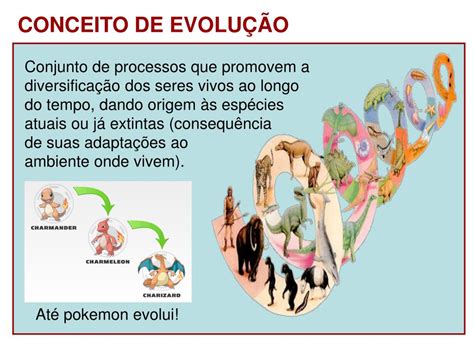 Ap S Contextualiza O Das Teorias Evolutivas E Da Diversidade Das