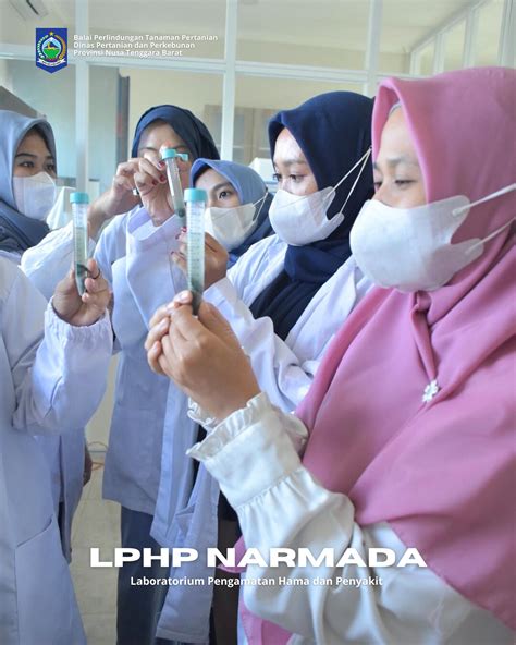 uptd bptp ntb atinfobptpntb instagram