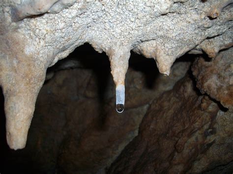 How Are Stalagmites Formed In Caves : In 2015 and 2016, scientists ...