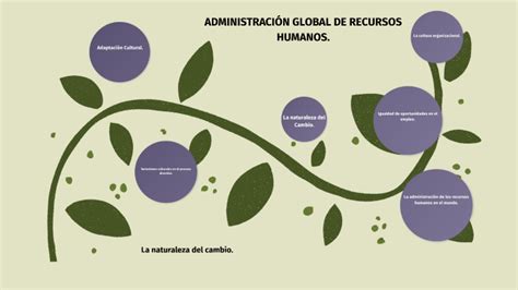 Administración Global De Recursos Humanos By Preciado Martha On Prezi