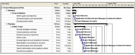 PMI Project Management Plan Examples Based on PMI Guidelines