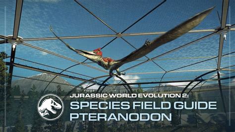 Pteranodon Species Field Guide Jurassic World Evolution 2