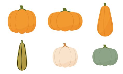 A Set Of Pumpkins Of Different Shapes And Different Colors Cartoon