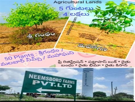 Agricultural Land Sq Yards For Sale In Lachapet Kamareddy