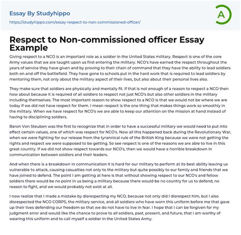 Respect To Non Commissioned Officer Essay Example