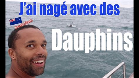 J Ai Nag Avec Des Dauphins A Kaikoura Youtube