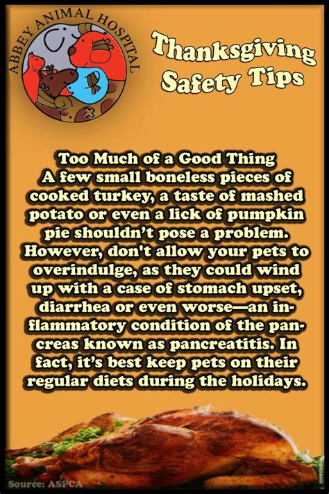 Thanksgiving Safety Tips Pdf Haravgi Pdf