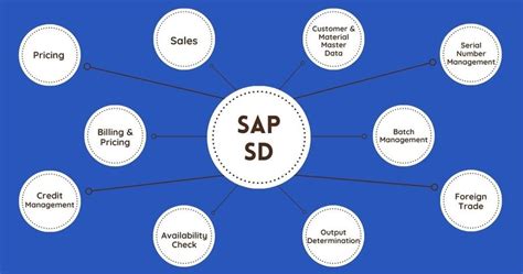 Sap Sd Overview