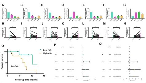 Validation Of The Cuproptosis Related Prognostic Signature A G