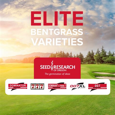 Elite Bentgrass Turf Varieties From GreenSource USA GreenSource USA