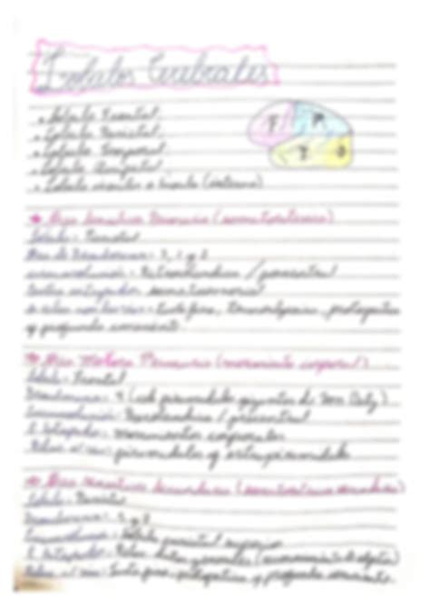 SOLUTION Sistema Nervioso Cerebro Cerebelo Meninges Lobulos