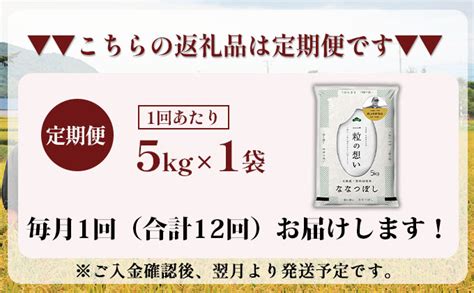 12ヵ月連続お届け 銀山米研究会のお米＜ななつぼし＞5kg 北海道仁木町 セゾンのふるさと納税