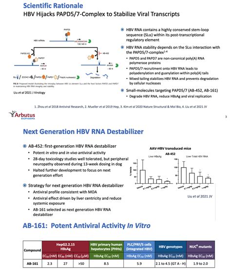 Preclinical Antiviral Profiling of AB-161, an Oral HBV Inhibitor that ...