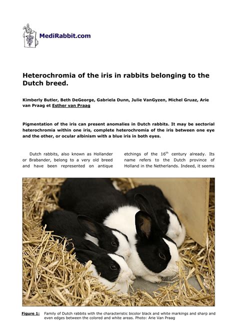 Pdf Heterochromia Of The Iris In Rabbits Belonging To The Dutch Breed