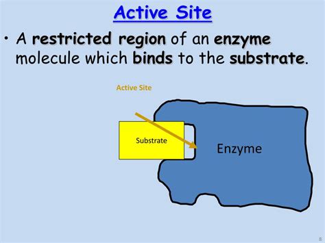 PPT - Enzymes PowerPoint Presentation, free download - ID:2065223