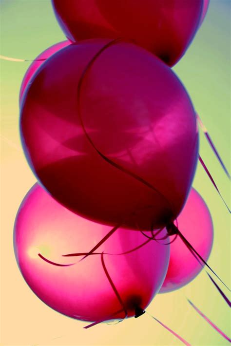 Dreams May Linger Pink Balloons Balloons Pink Saturday