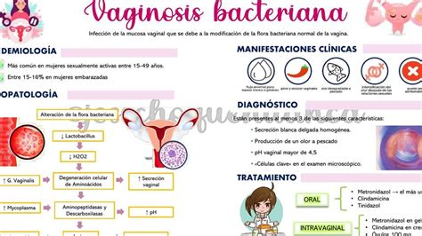 Vaginosis Bacteriana Causas S Ntomas Y Tratamientos Efectivos