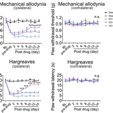 Sal Attenuated Thermal And Mechanical Allodynia Of Cci Model Mice Mice