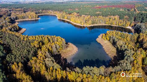 Jezioro Kami Skie Park Krajobrazowy Puszcza Zielonka Nasza Zielonka