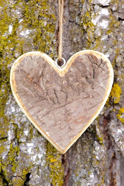 Premium Photo Close Up Of Heart Shape On Tree Trunk