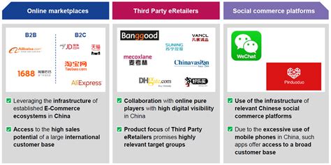 E Commerce Strategy For China FOSTEC Company