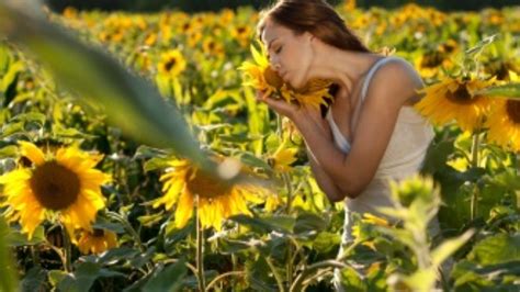 Inspirativni Citati O Zdravlju I Fitnesu Organ Vlasti