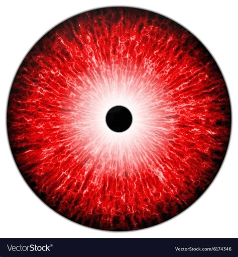 Red Eye Royalty Free Vector Image Vectorstock