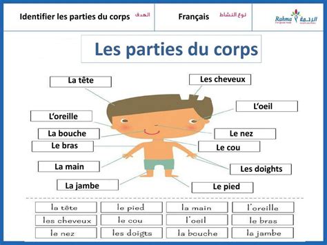 657386 Les Parties Du Corps Osman1 Liveworksheets