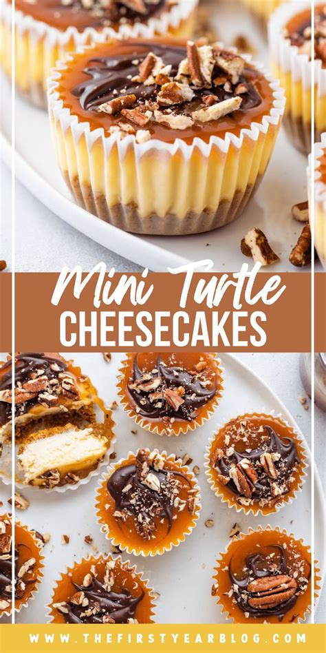 Mini Tarte Cheesecakes With Chocolate And Pecans On Top Sitting On A