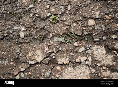 Old asphalt road. Grunge road. Asphalt texture and background. Copy ...