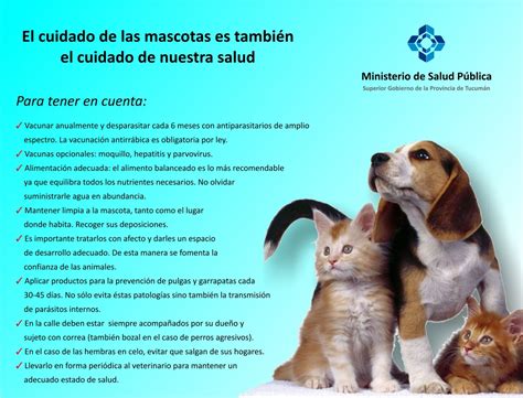 El Cuidado De Las Mascotas Es Tambi N El Cuidado De Nuestra Salud