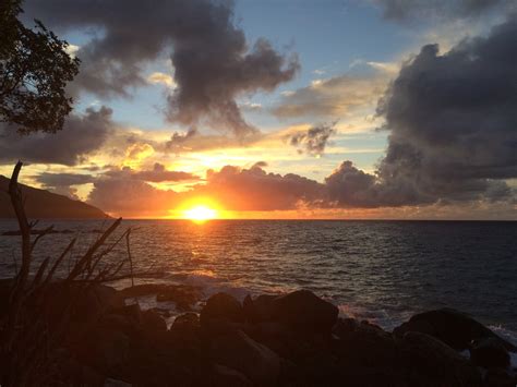 Seychelles Holidays | Safari365