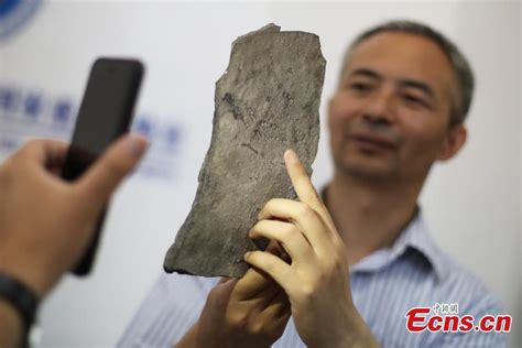 Worlds Oldest Animal Footprints Discovered In China