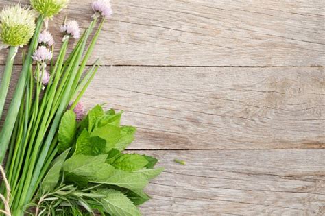 Premium Photo | Fresh herbs and spices on garden table