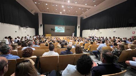 Graduación 6º de Primaria 2023 Colegio Quercus