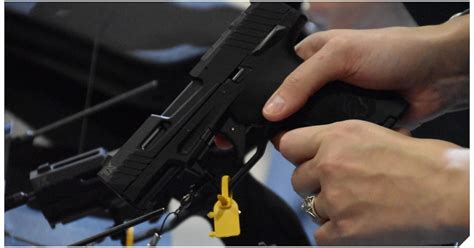 Michigan Senate Passes Gun Seizure Bills Mandatory Lock Requirements